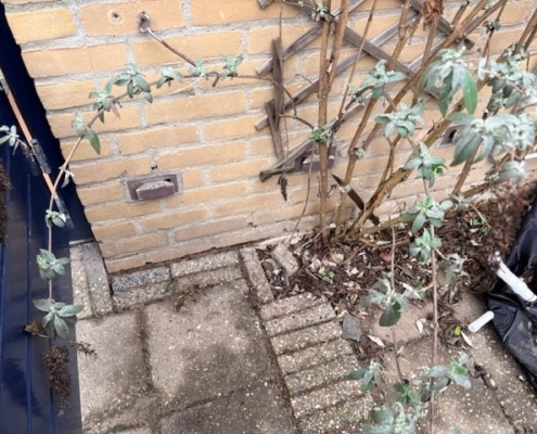 Kruipruimte isolatie in Nijmegen Kruipruimte isolatie in Nijmegen